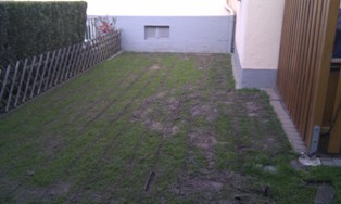 Rollrasen